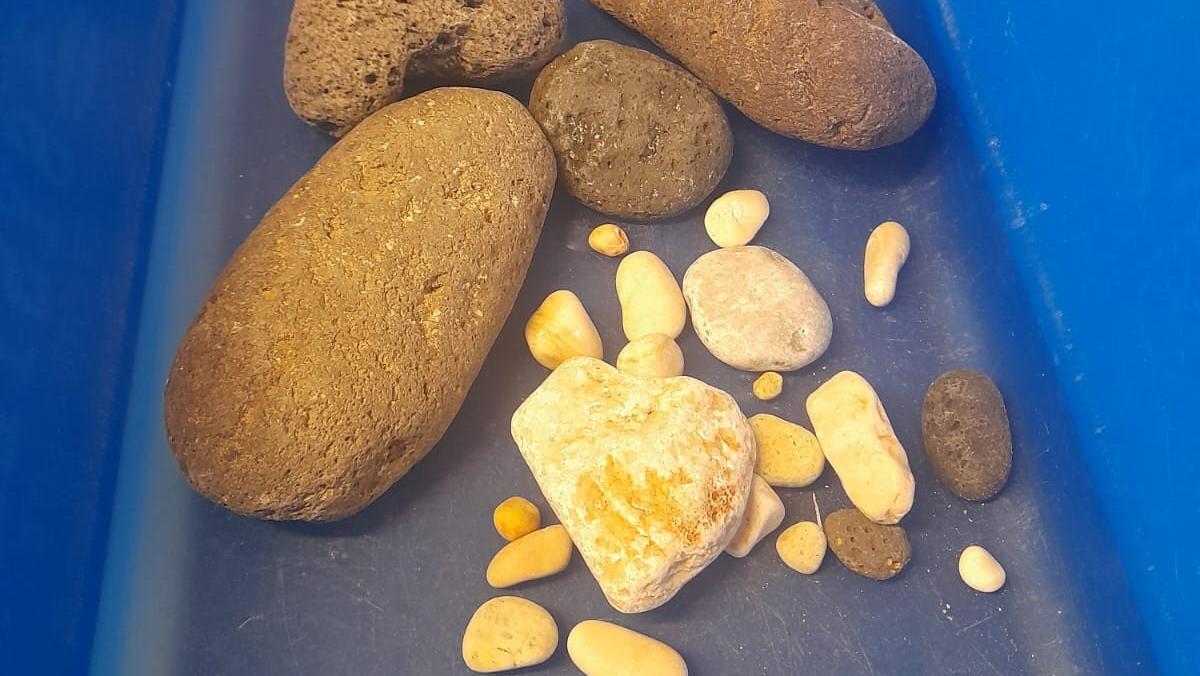 Olbia, pietre nel bagagliaio: nuovo sequestro al porto dell’Isola Bianca