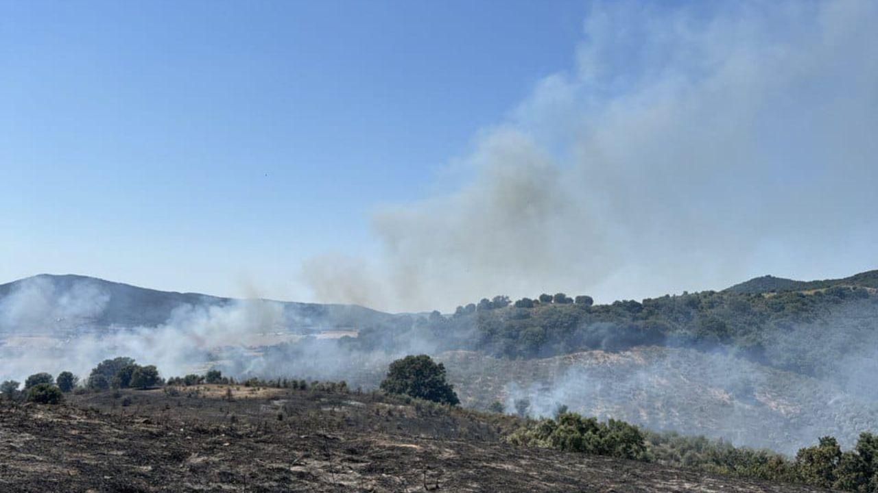 
	Il fumo nella zona di Montauto

