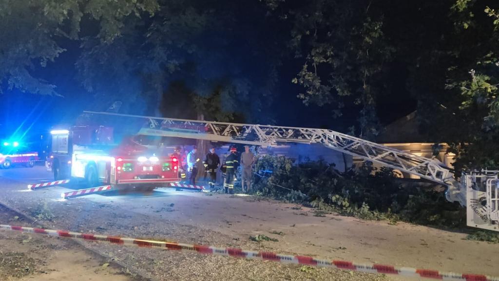 L'albero caduto e i pompieri al lavoro (foto Matteo Bini)