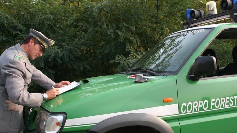 Liquami in strada e nei fossati In ditta arrivano Arpa e Forestale