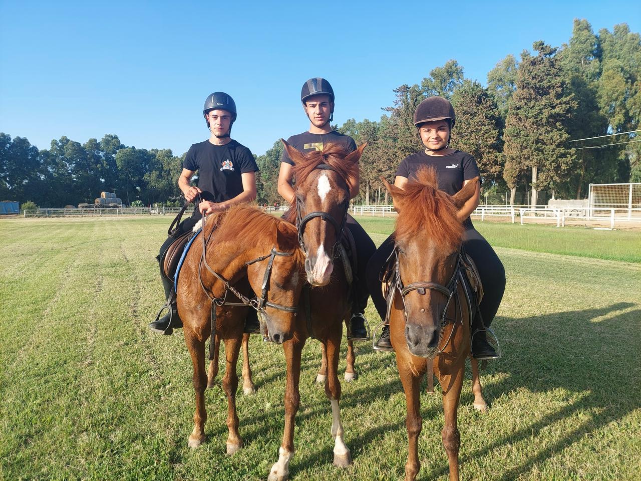 Oristano, scelta la pariglia de Su Cumpoidoreddu