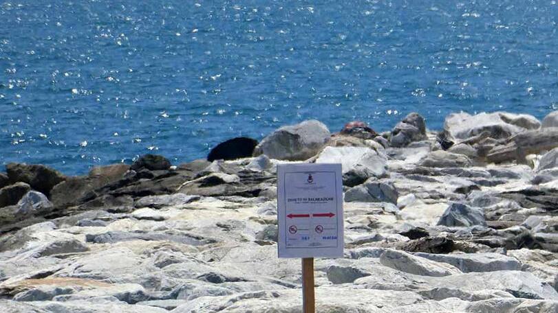 Marina di Massa, bagni ancora off limits per escherichia coli: l’ordinanza e i divieti