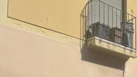 Scandiano: cagnolino lasciato sul balcone al sole, salvato dalla polizia locale