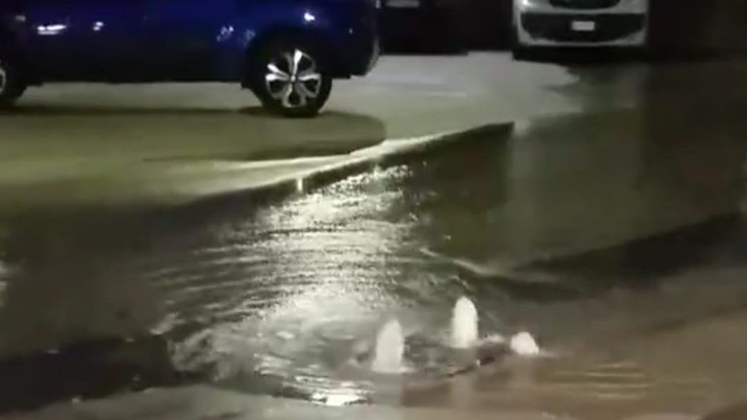 Sassari, ancora disagi a Latte Dolce: nuova rottura della condotta di via Kennedy