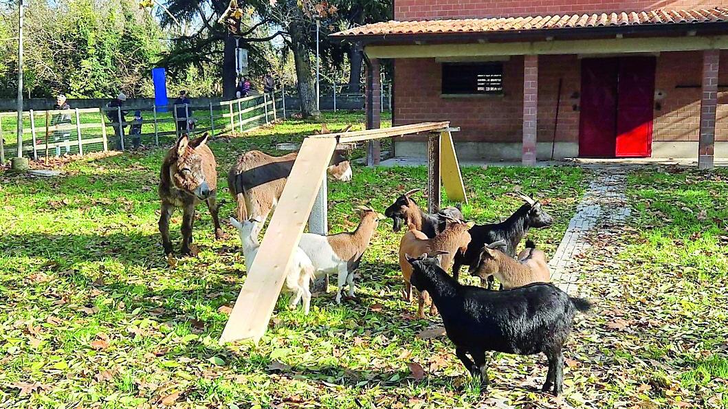 Atletica Reggio arriva al parco delle Caprette