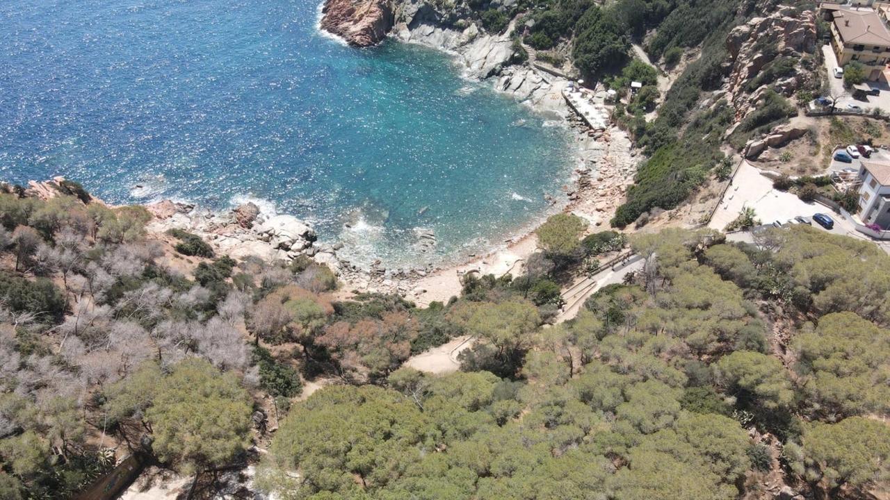 Arbatax, via libera al taglio di 700 alberi per salvare la pineta di Batteria