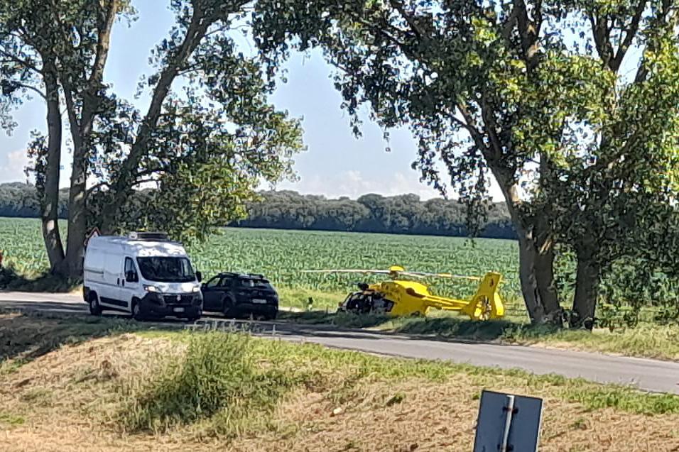 Bosco Mesola, muore a 69 anni durante una gita in bicicletta