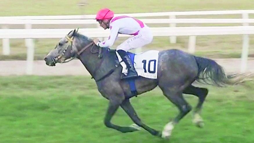 Galoppo, la stella di Davide Virgilio illumina l’ippodromo di Sassari