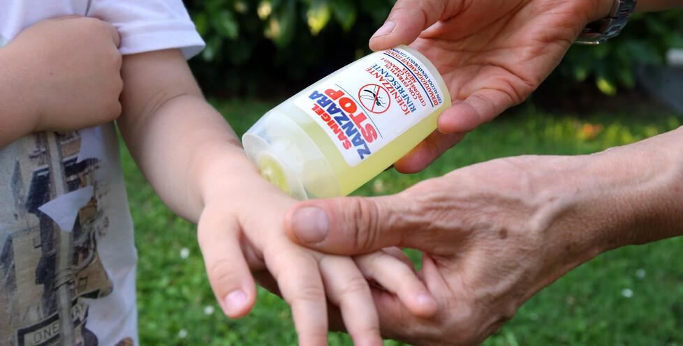 I Lidi e le zanzare, interventi costanti ma disagi per i turisti