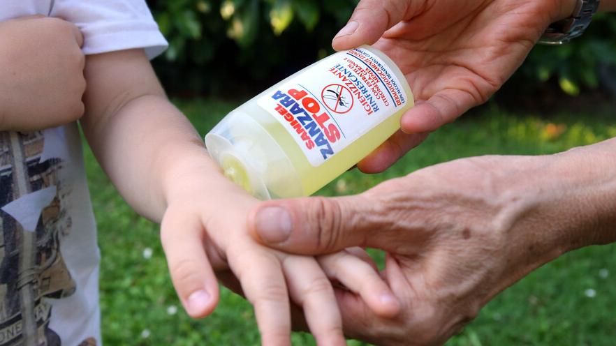 I Lidi e le zanzare, interventi costanti ma disagi per i turisti