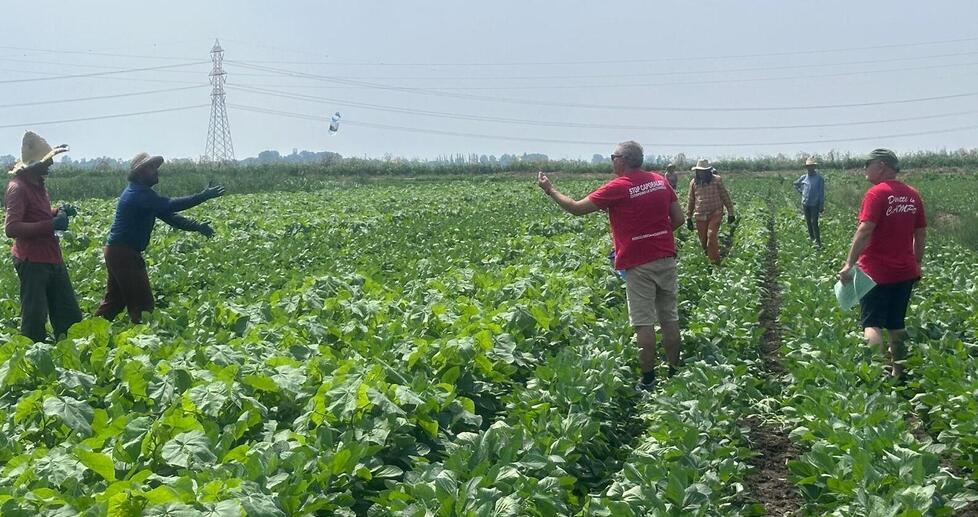 Ferrara: turni adattati, clima, pause libere. Così si resiste lavorando a 40°