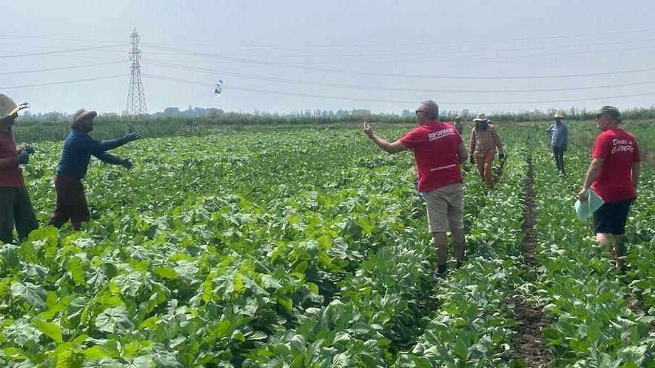Ferrara: turni adattati, clima, pause libere. Così si resiste lavorando a 40°