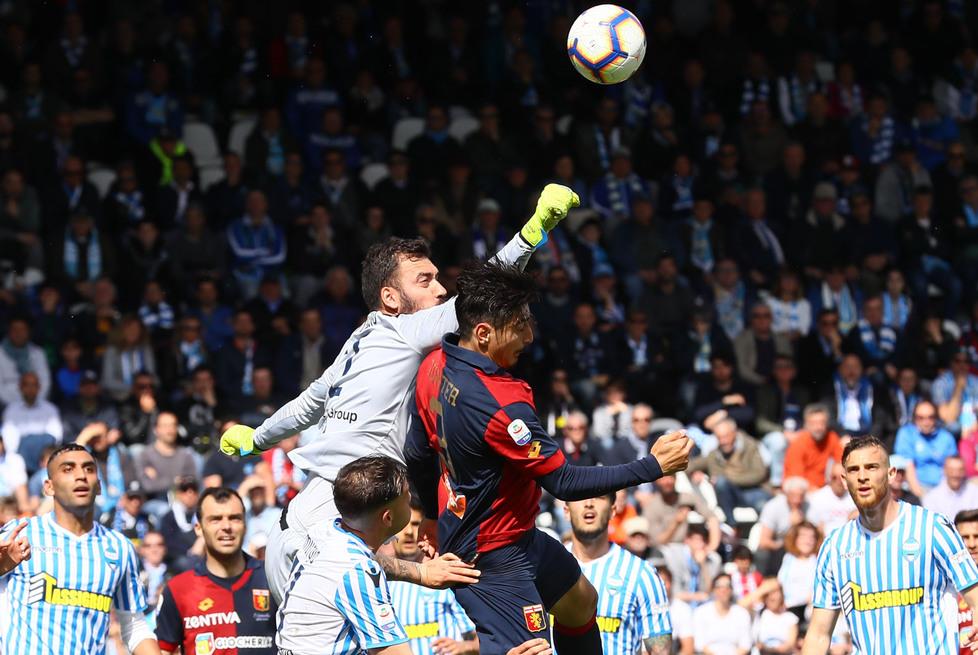 Spal, le avversarie si attrezzano, tutti i movimenti sul mercato