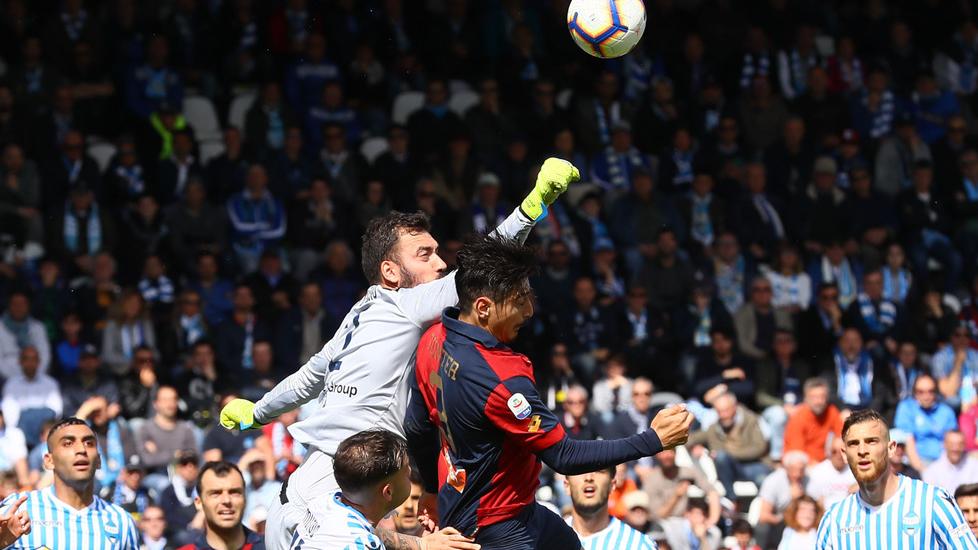 Spal, le avversarie si attrezzano, tutti i movimenti sul mercato