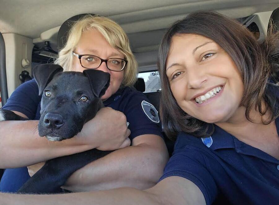 Montecchio: agenti della polizia locale salvano cucciolo abbandonato