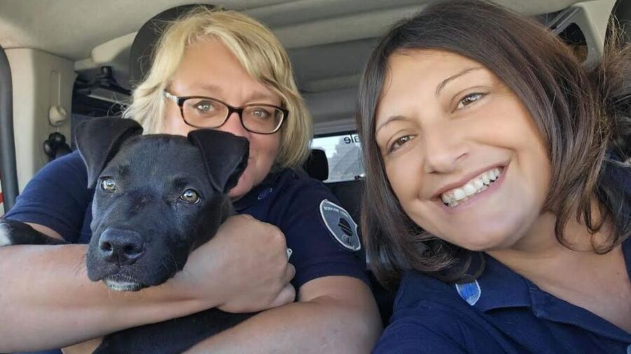 Montecchio: agenti della polizia locale salvano cucciolo abbandonato