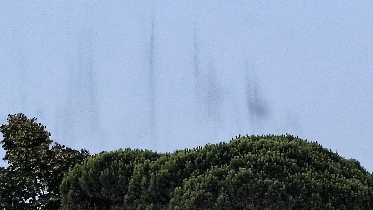 Gli sciami di zanzare a Massa lunedì 15 luglio