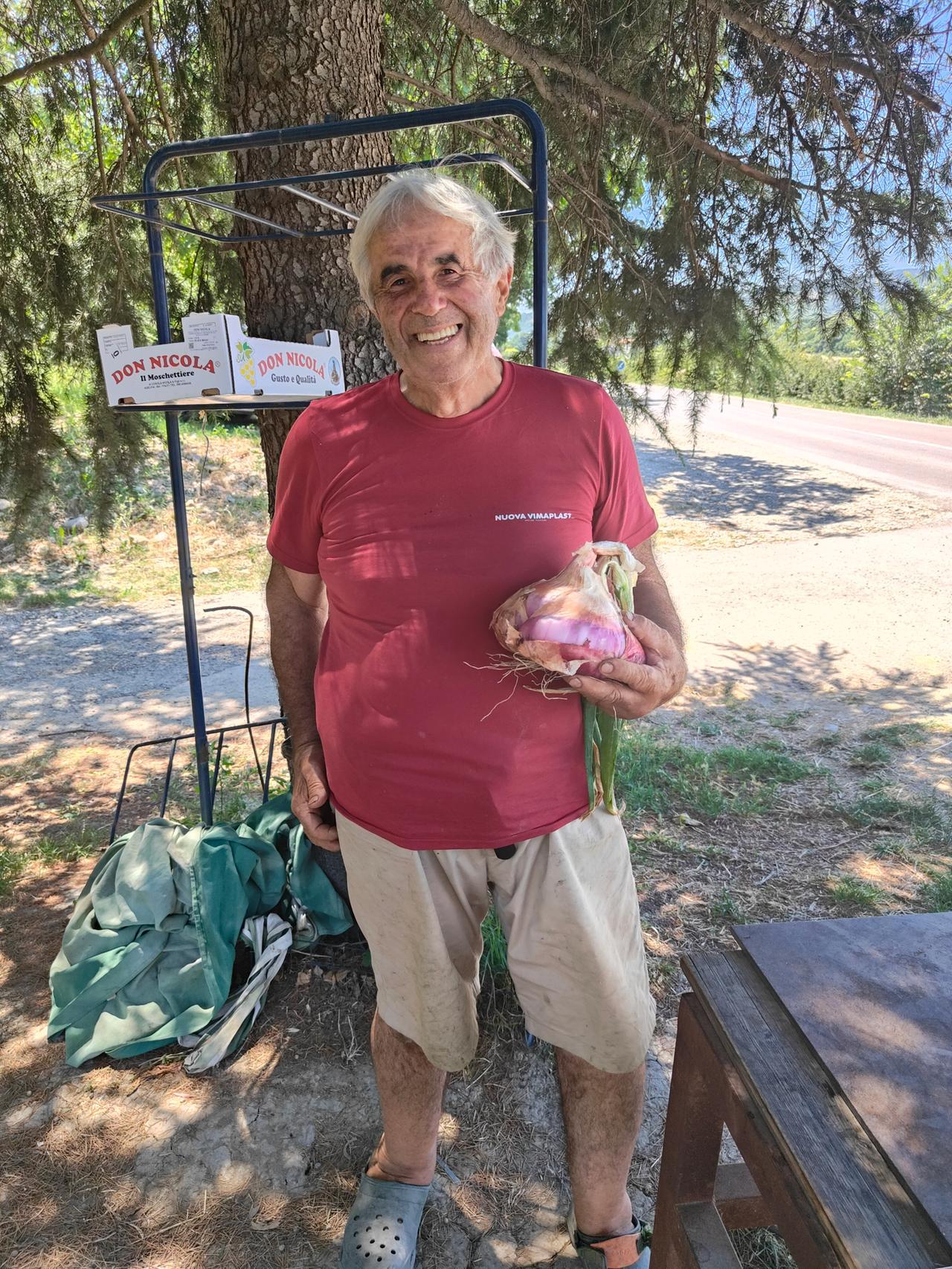 Una cipolla da record: pesa quasi 2 chili