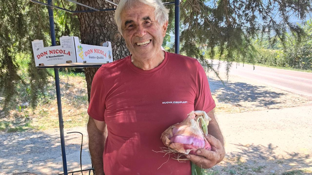 Una cipolla da record: pesa quasi 2 chili