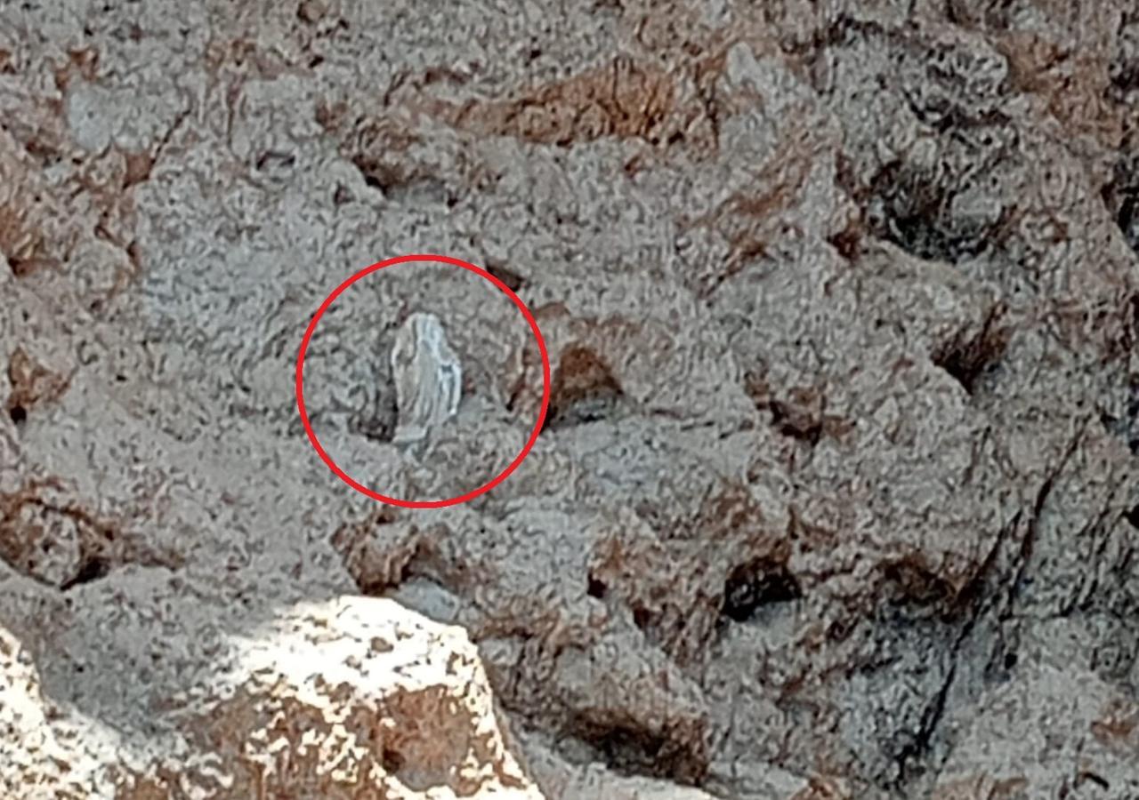 Tavolara, decapitata la statua della madonnina nella Grotta dell’Orecchio di Ulisse