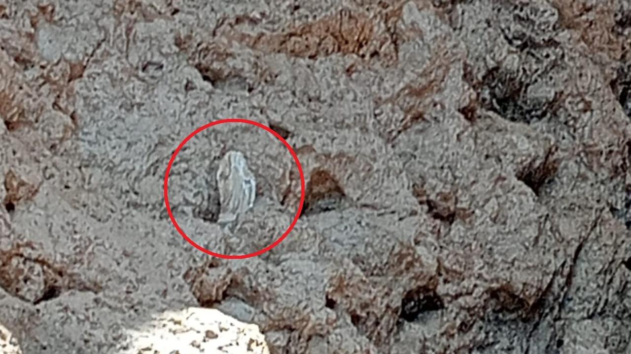 Tavolara, decapitata la statua della madonnina nella Grotta dell’Orecchio di Ulisse