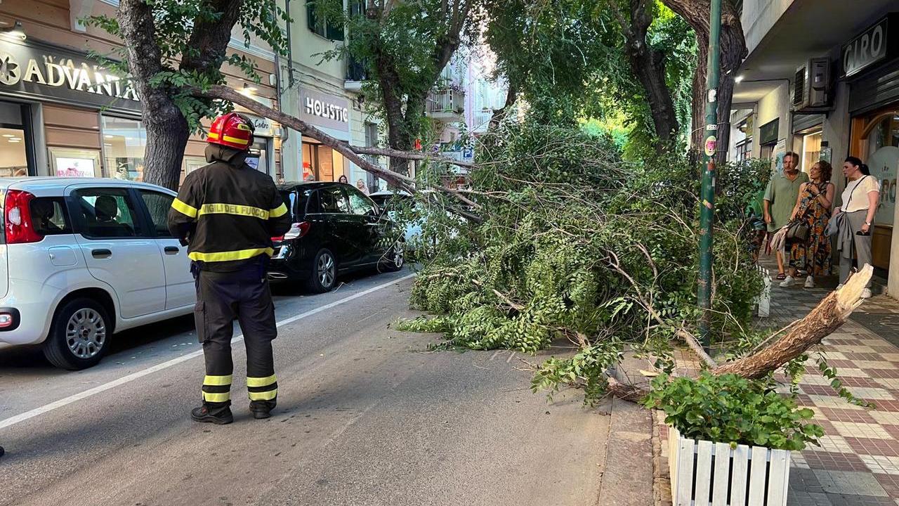 Un grosso ramo cade sul marciapiede, momenti di paura ad Alghero