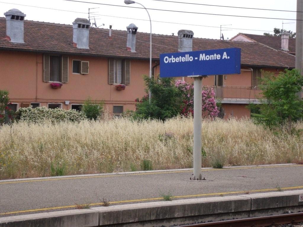 Stazione ferroviaria
La stazione di Orbetello con le erbacce
