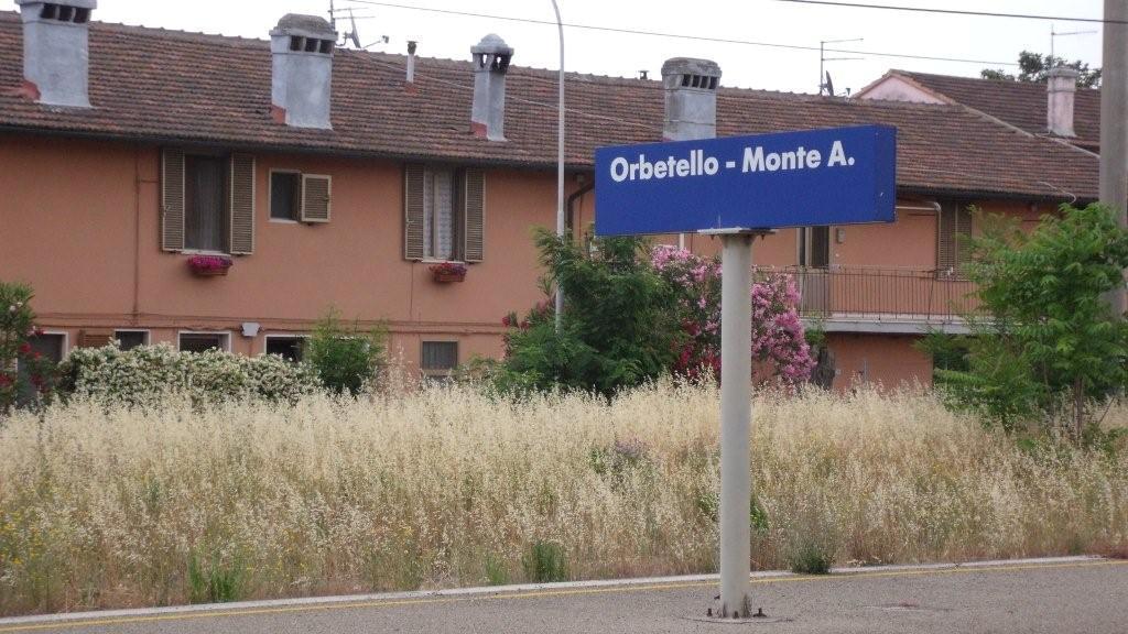 Stazione ferroviaria
La stazione di Orbetello con le erbacce