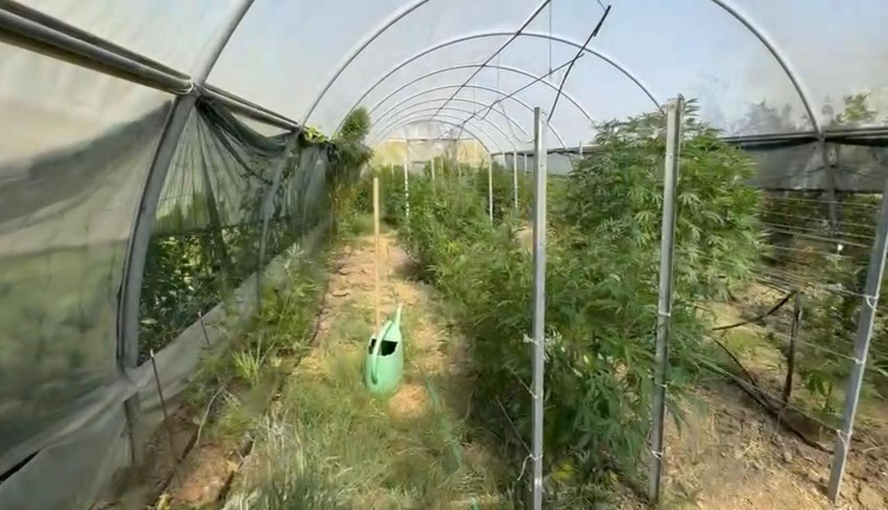 
	Il sopralluogo dei carabinieri al podere

