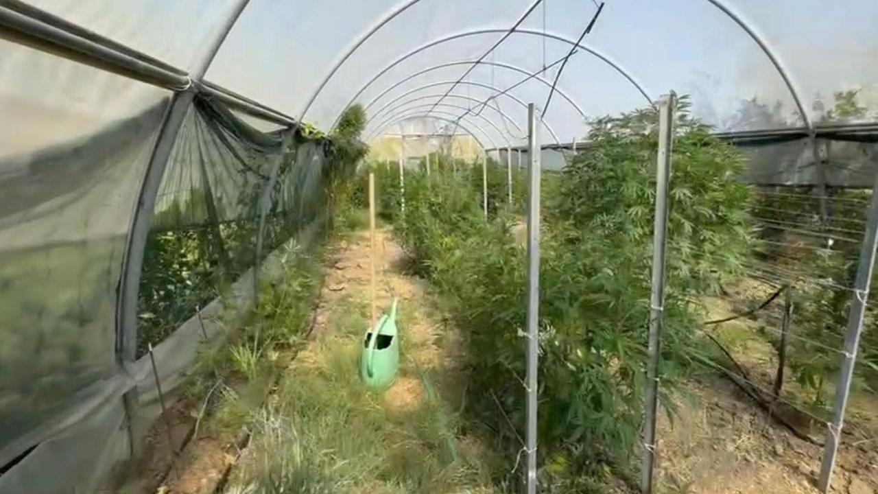 Il sopralluogo dei carabinieri al podere