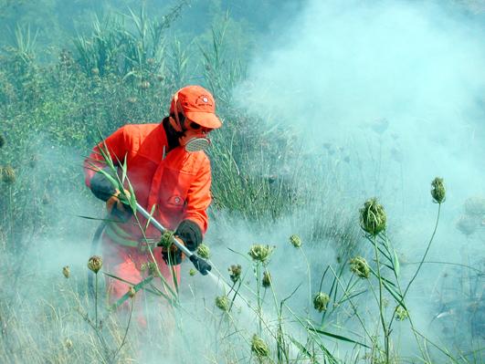 Santa Giusta, tre ettari in fumo a giugno: 50enne denunciato per incendio colposo