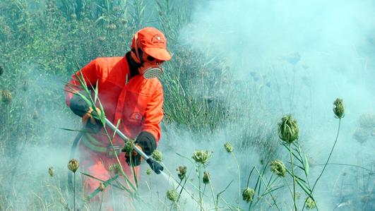 Santa Giusta, tre ettari in fumo a giugno: 50enne denunciato per incendio colposo