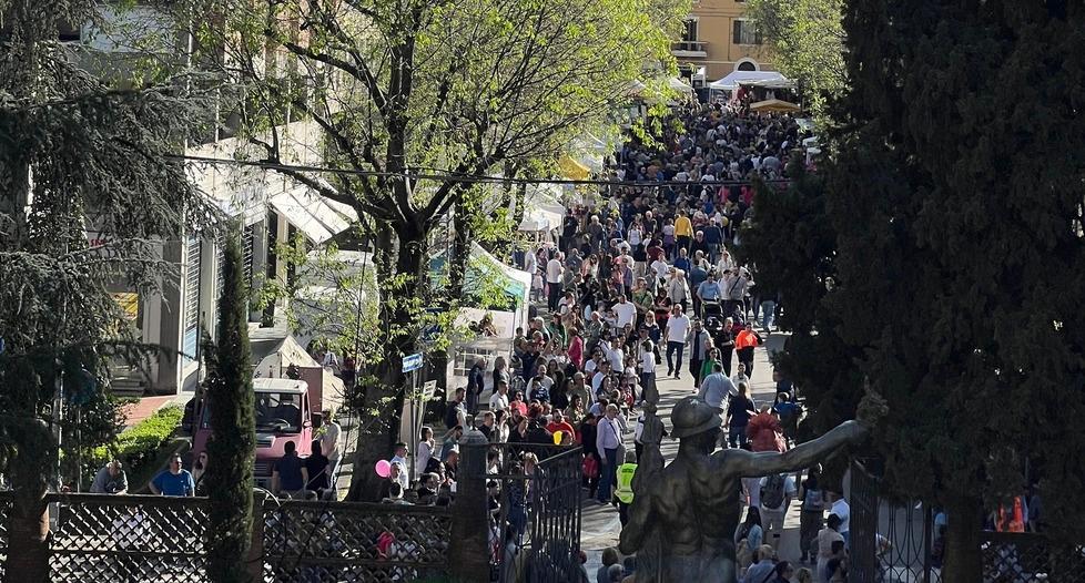 Più negozi e attività per Vignola: «Ecco un bando per nuove aperture» 