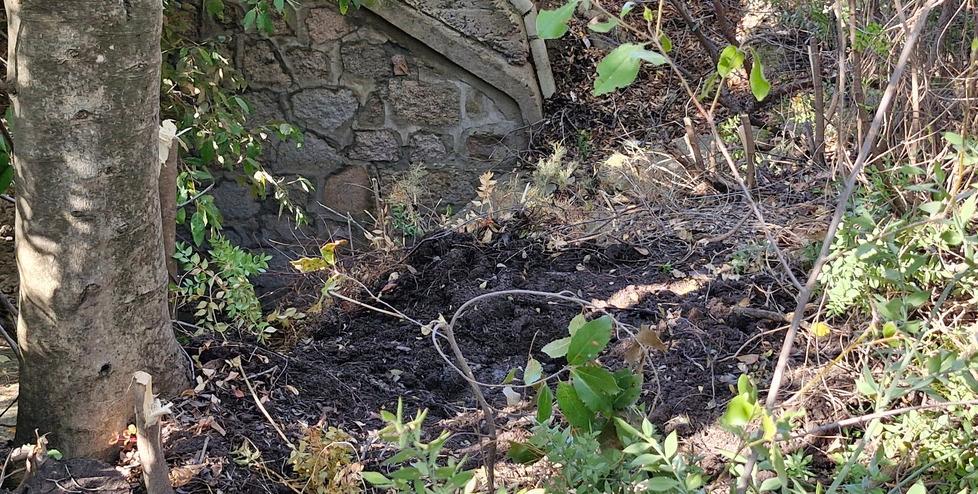 Lo choc di Andrea Deidda, fratello di Francesca: «Ora è solo, non ha più nessuno»