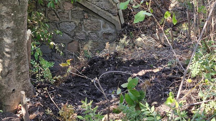 Lo choc di Andrea Deidda, fratello di Francesca: «Ora è solo, non ha più nessuno»