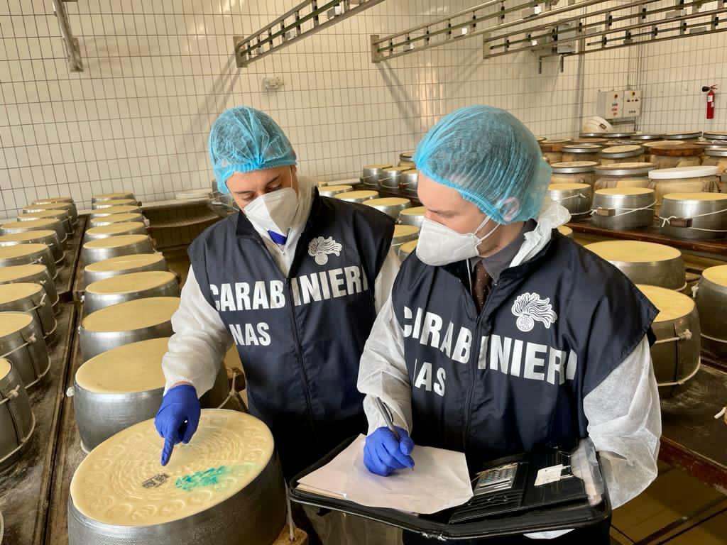 Falso Parmigiano Reggiano Dop, sequestrate 19 tonnellate di formaggio a un caseificio di Modena