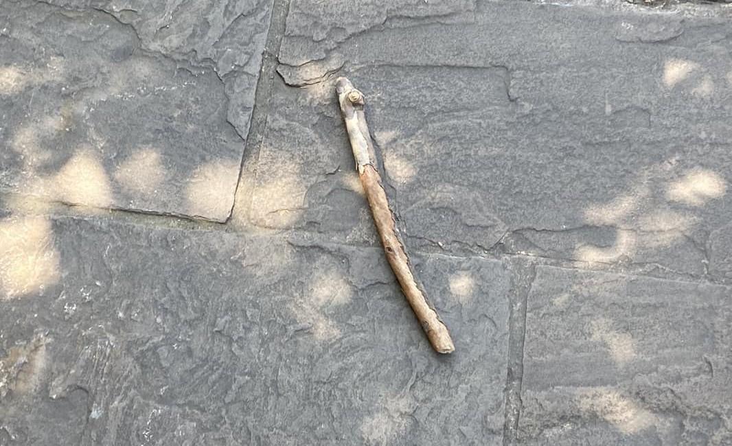 Modena, colpita in testa con un bastone: caccia all’aggressore del centro