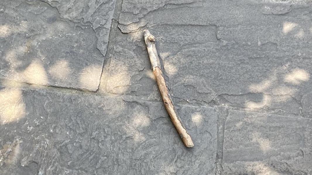 Modena, colpita in testa con un bastone: caccia all’aggressore del centro