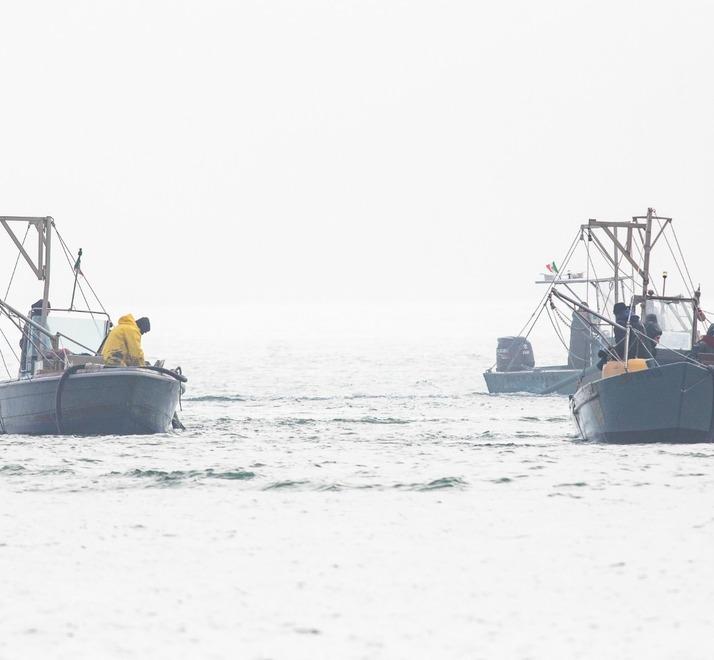 Mare a 30 gradi, a Goro e Portogaribaldi la pesca soffre