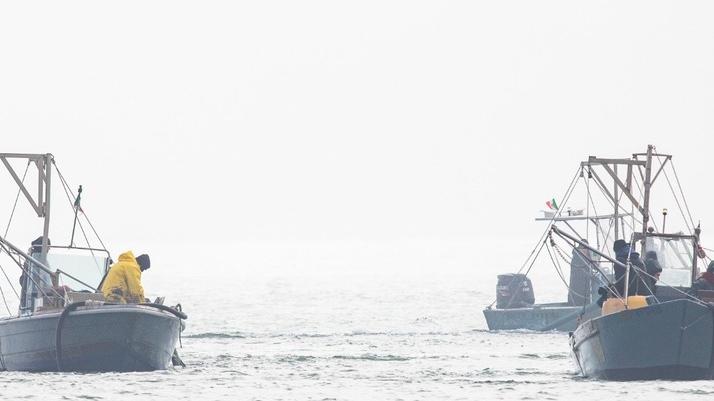 Mare a 30 gradi, a Goro e Portogaribaldi la pesca soffre