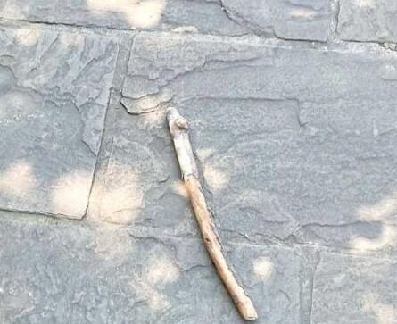 Donna aggredita in centro a Modena con un bastone, identificato l’autore: è un minorenne