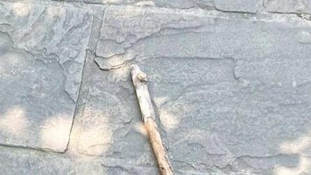 Donna aggredita in centro a Modena con un bastone, identificato l’autore: è un minorenne