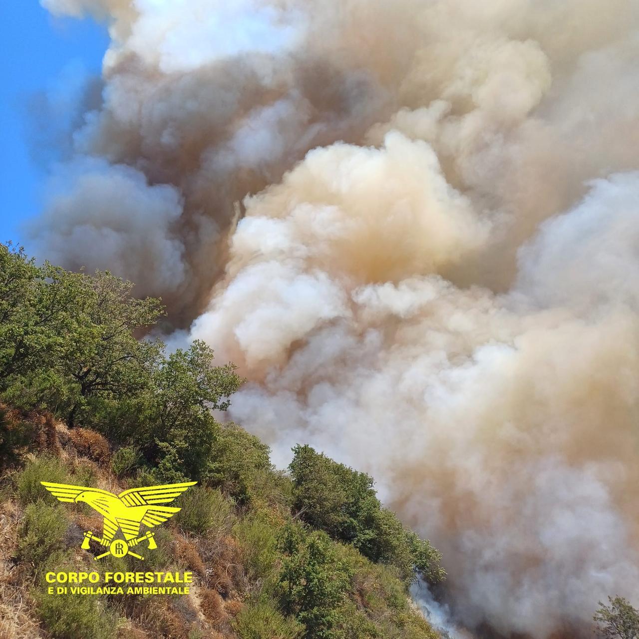 Incendio nelle campagne di Burgos: al lavoro due canadair e quattro elicotteri