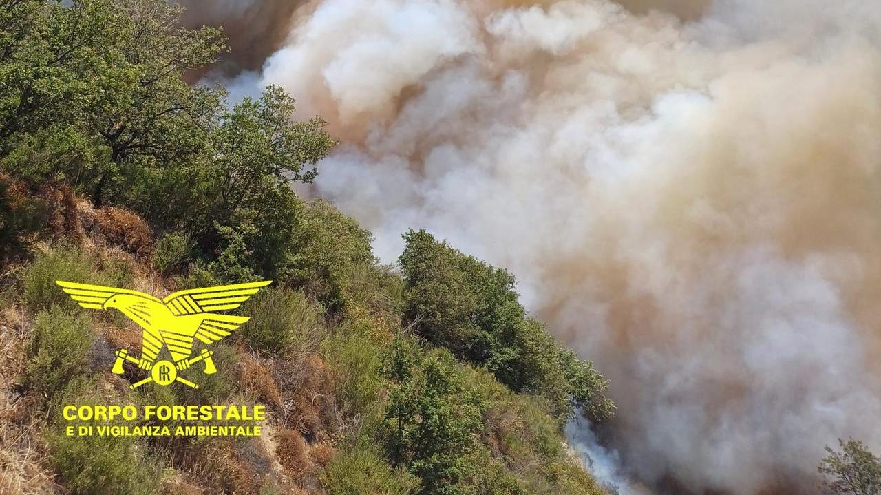 Incendio nelle campagne di Burgos: al lavoro due canadair e quattro elicotteri