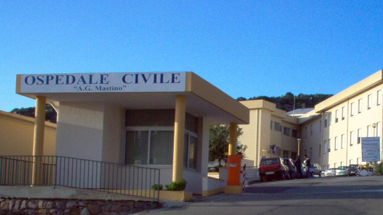 Bosa, nido di vespe vicino all’ospedale debellato dai Vigili del fuoco