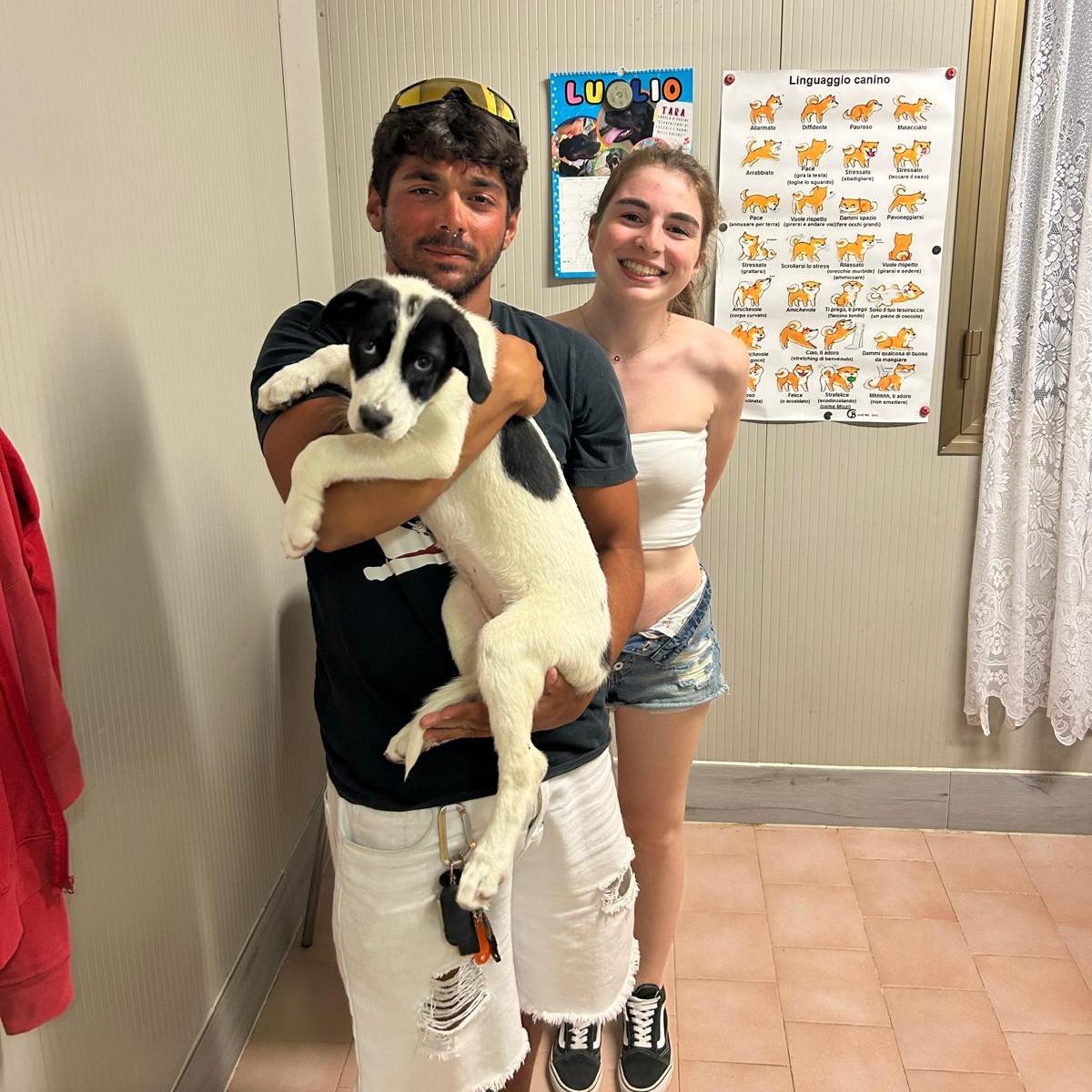 Lido Estensi, cuccioli buttati nell’immondizia. Anche l’ultimo è stato adottato