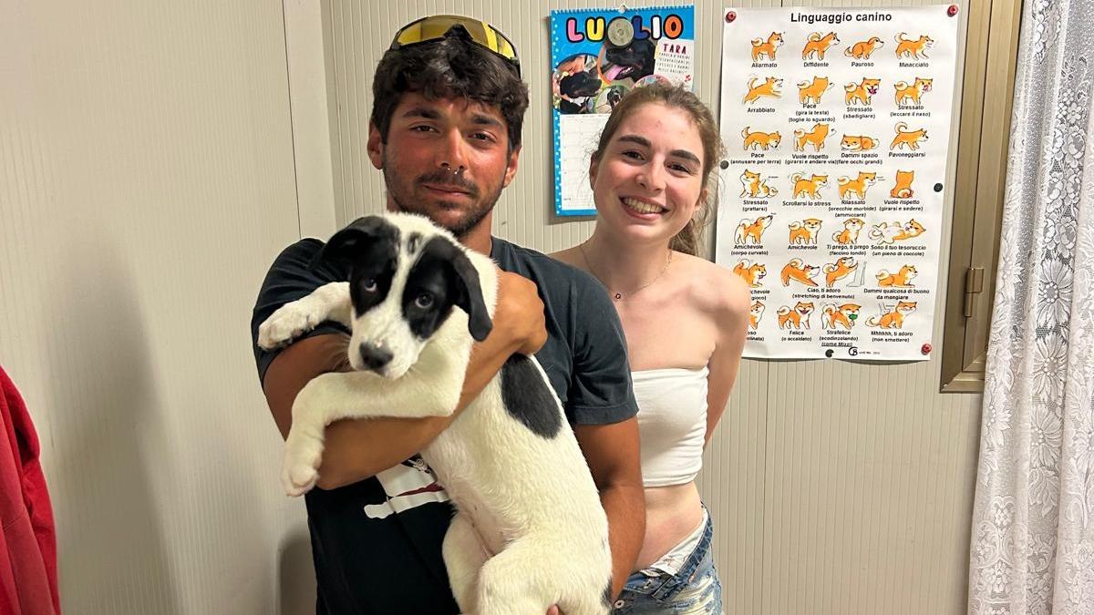 Lido Estensi, cuccioli buttati nell’immondizia. Anche l’ultimo è stato adottato