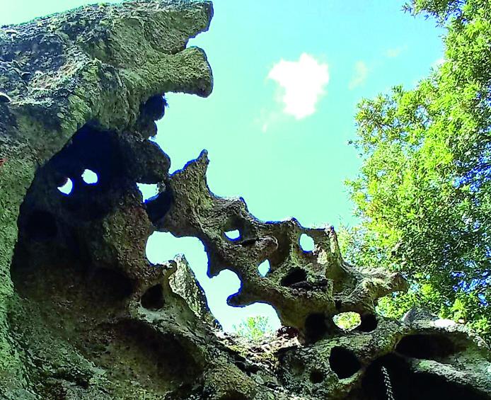 Rocce, boscaglia e natura: il Monte Ortobene in 65 fotografie