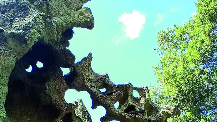 Rocce, boscaglia e natura: il Monte Ortobene in 65 fotografie