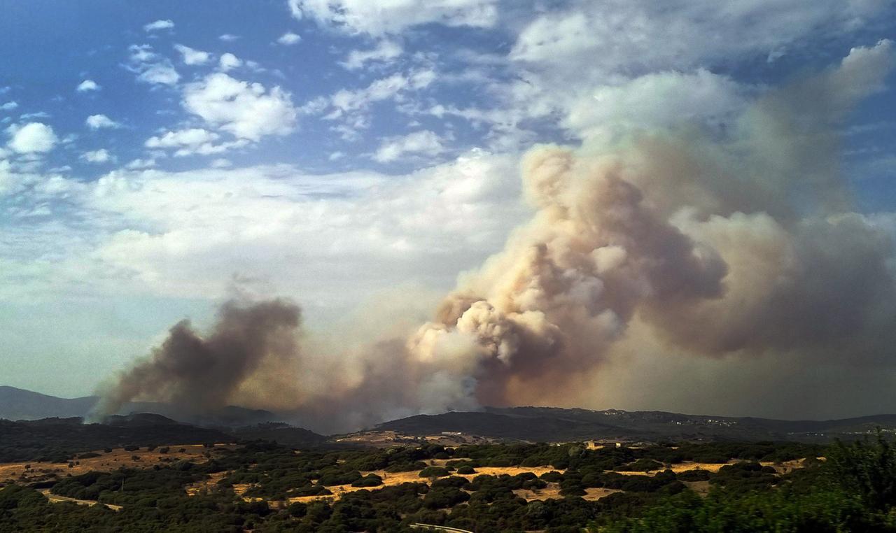 
	L'incendio nella campagna di Orani <em>(foto Massimo Locci)</em>

